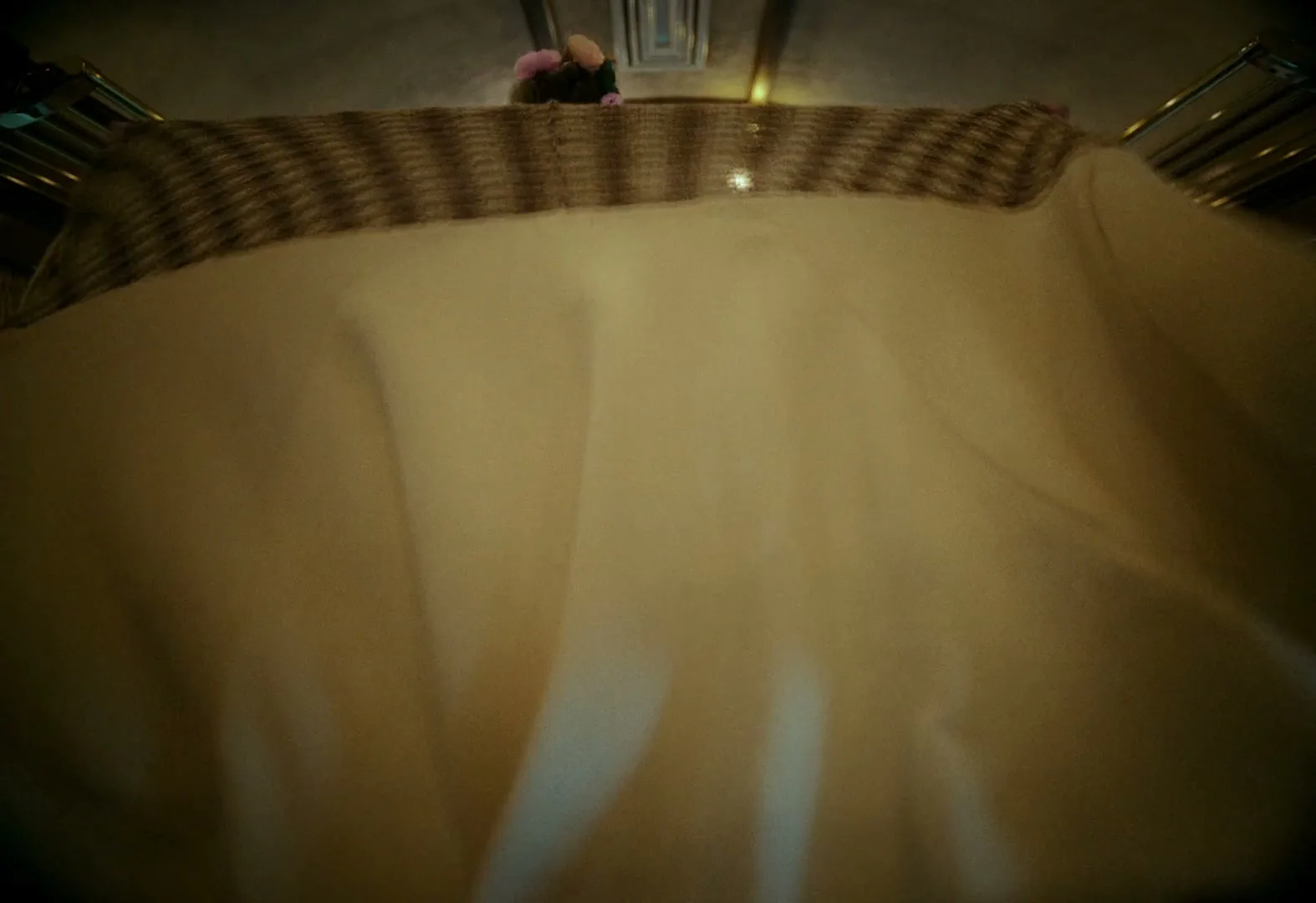 A person with flowers in their hair stands in a luxurious train car, holding a blanket that billows upwards, revealing other passengers.