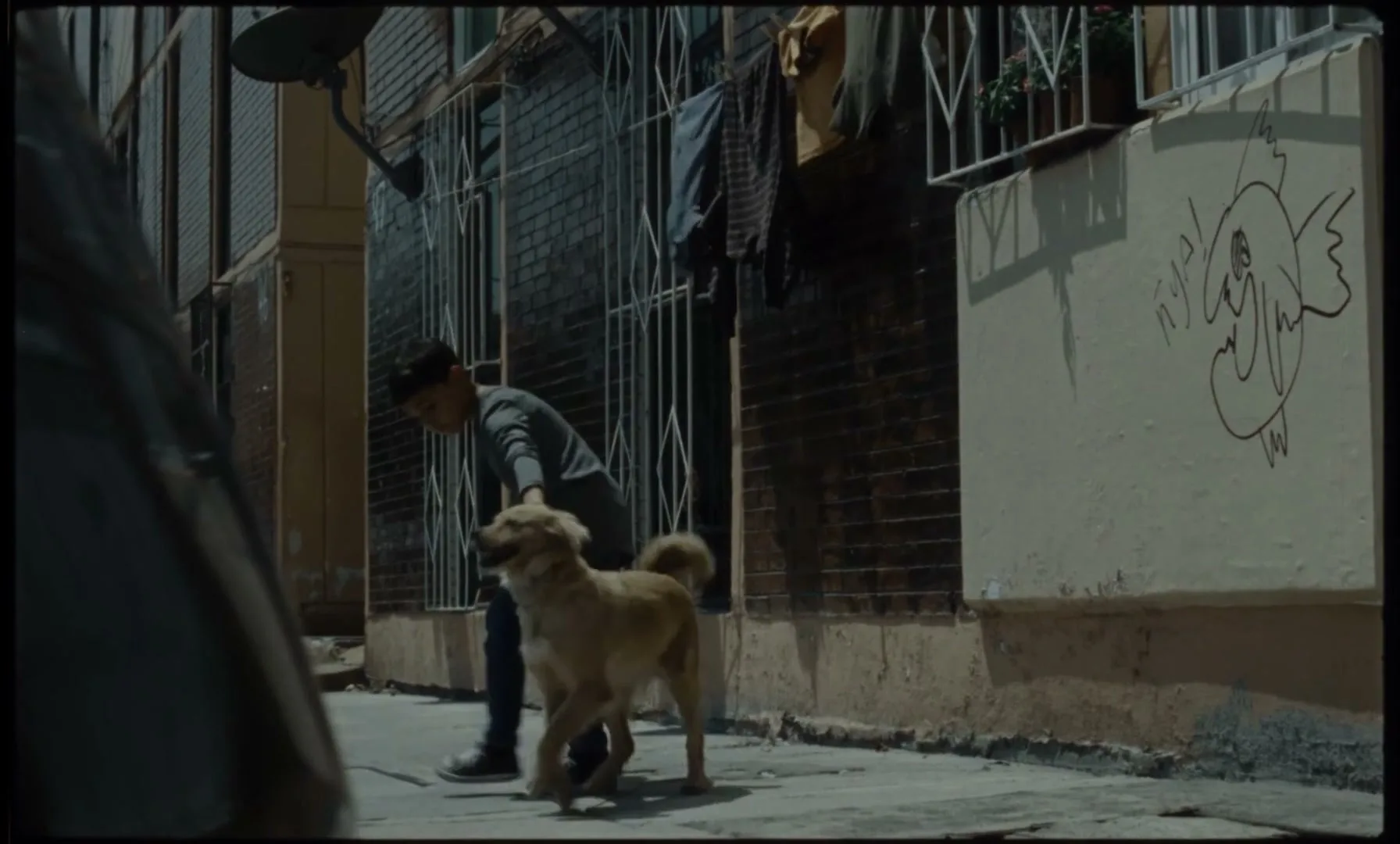 A young boy in a grey shirt and jeans looks up at the sky with his dog on a narrow street in a city.
