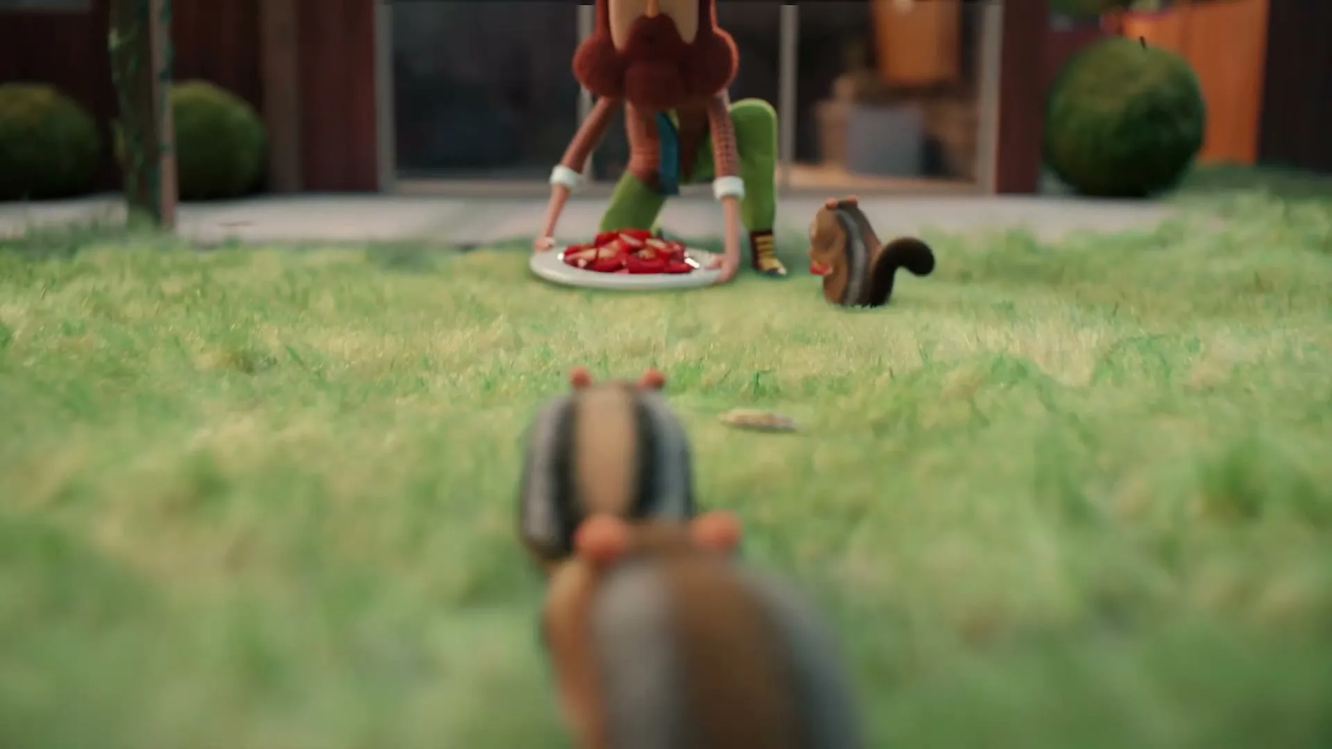 A stop-motion animated man with a red beard and blue hat kneels on a green lawn, offering a plate of red fruit to two chipmunks in a backyard setting.