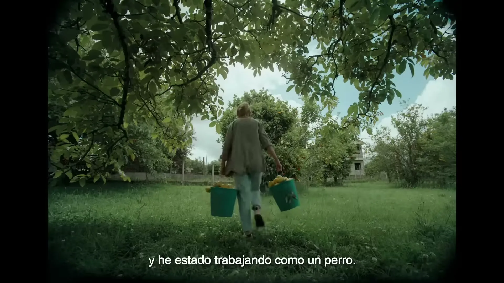 Estrella Galicia de Hijos “Prohibido bajar los brazos” (2022), frame 4