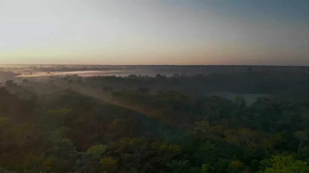 An aerial shot captures a vast, misty forest landscape at dawn, with the sun's rays breaking through the fog.