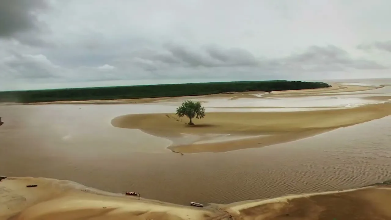 An aerial view shows a single green tree standing on a small sandy island in a wide, muddy river under a cloudy sky.