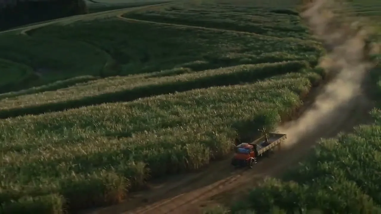 An orange truck with a small tree on its flatbed drives along a dirt road, kicking up dust, through vast green fields under a soft, warm light.
