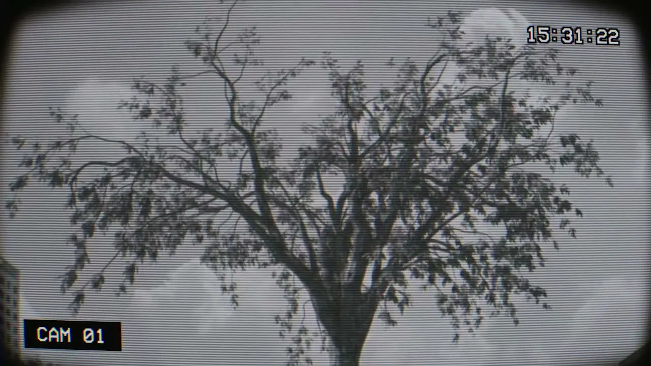 A tree with sparse leaves is shown through a grainy, black and white security camera feed, with a timestamp and camera ID visible.