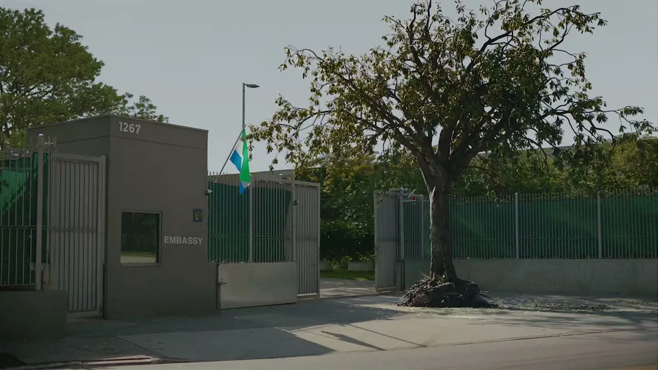 A wide shot shows the exterior of an embassy building with a flag flying, and a tree with exposed roots in front of it on a sunny day.