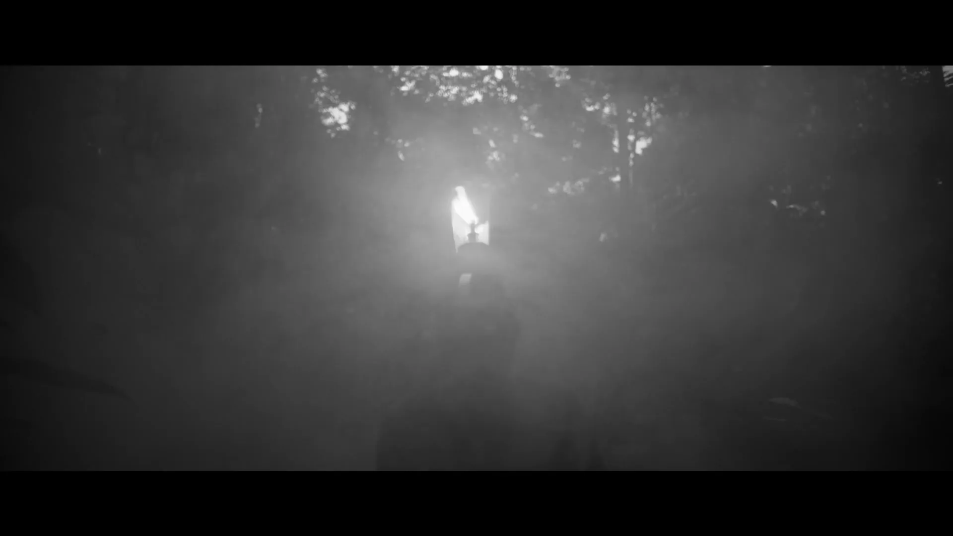 A person's silhouette emerges from thick smoke in a dark forest, with a bright light behind their head, in black and white.
