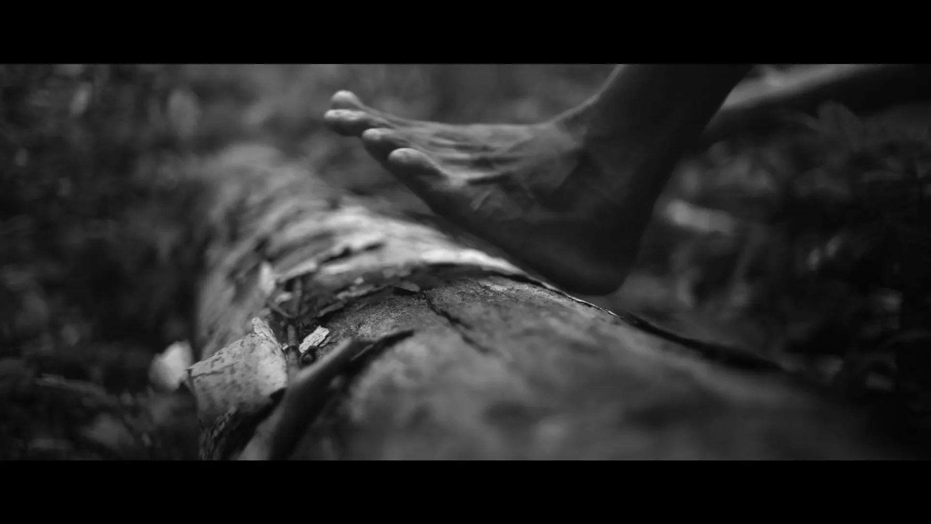 A person's bare foot steps onto a fallen log in a dense, dark forest, then runs away, captured in black and white.