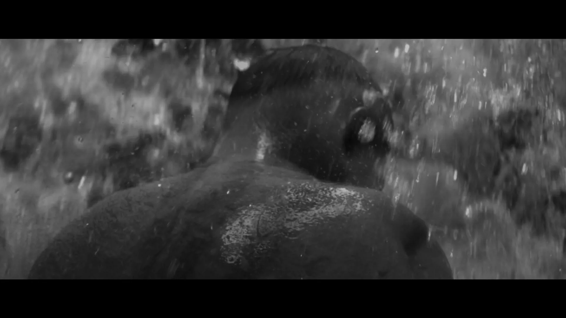 A black and white shot of a person's back as water splashes around them, then transitions to an aerial view of a forest.