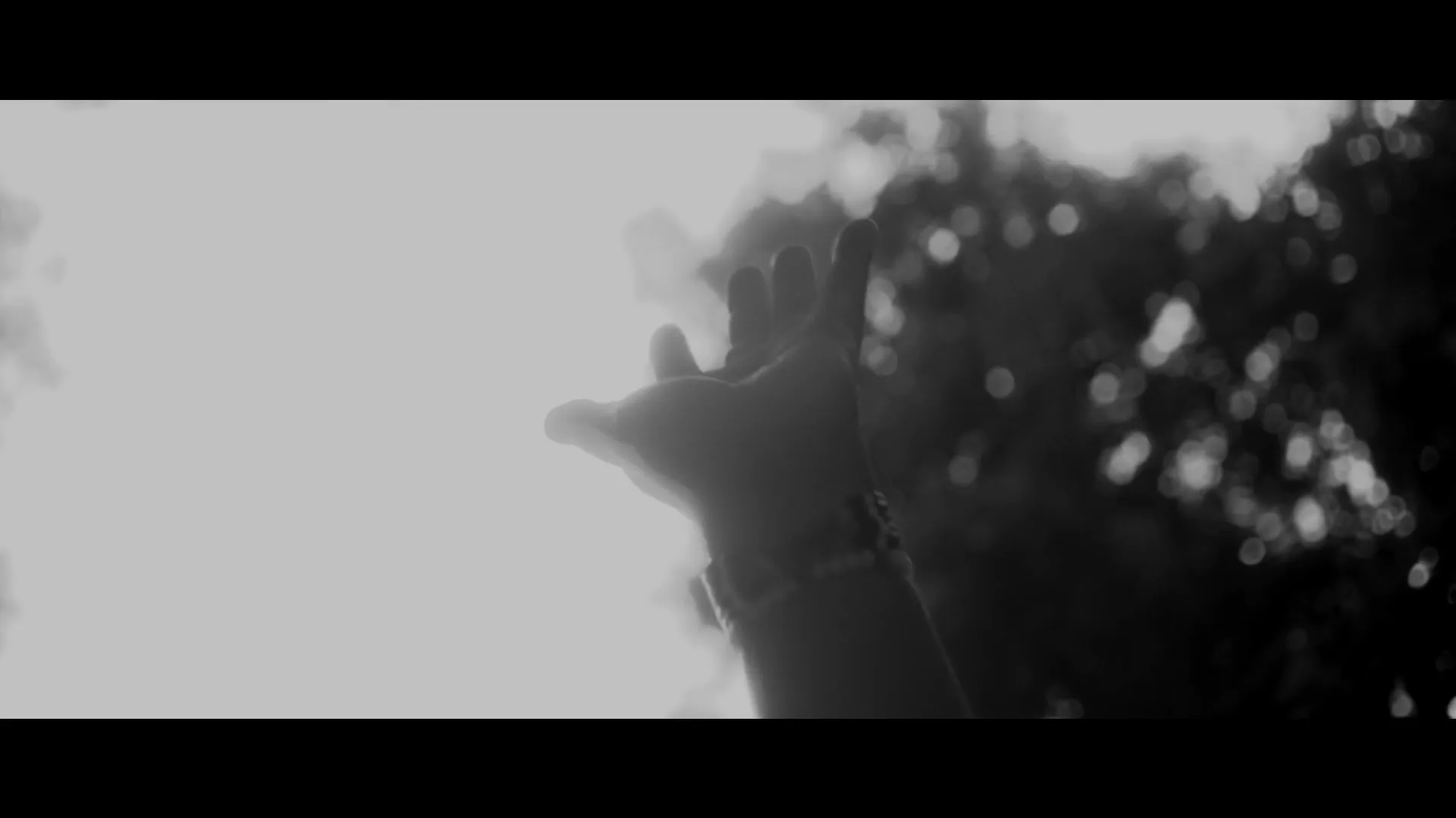 A person's hand reaches up towards a bright light, silhouetted against a dark, blurry background of trees in a black and white shot.