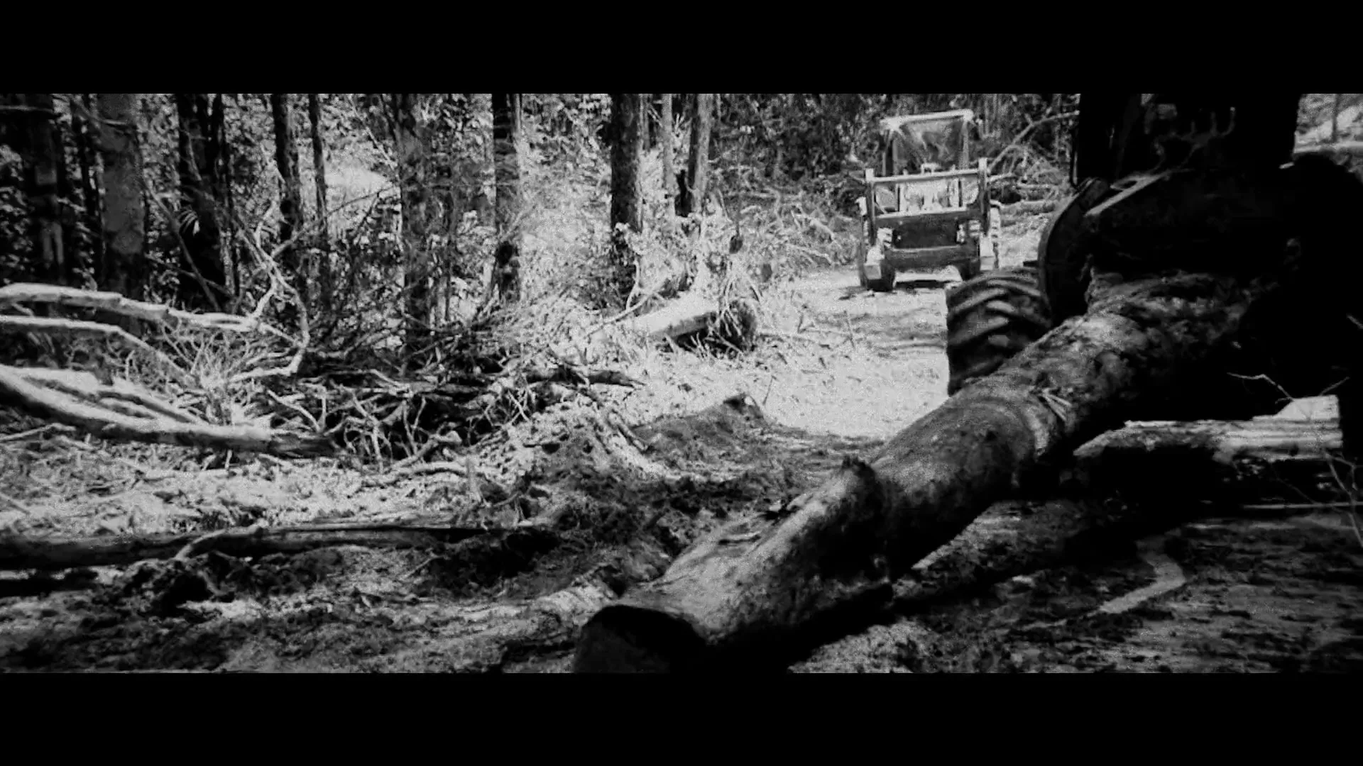 A black and white shot shows a large tree trunk being dragged by heavy machinery through a deforested area of a dense forest.