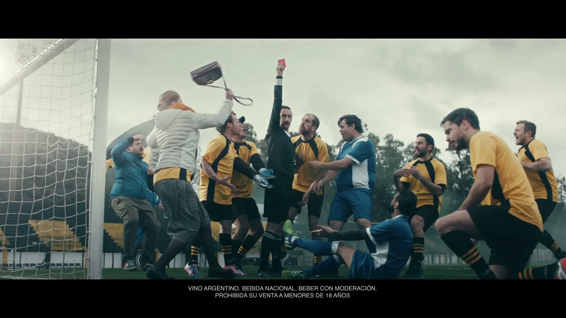 Toro "Remadores" (2018) commercial still