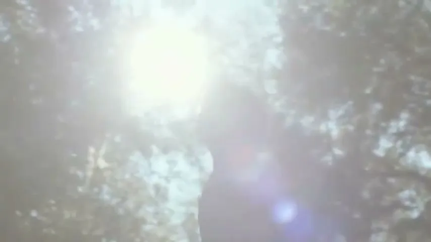 A child in a striped shirt is silhouetted against a bright sun and green trees, looking up with a neutral expression.