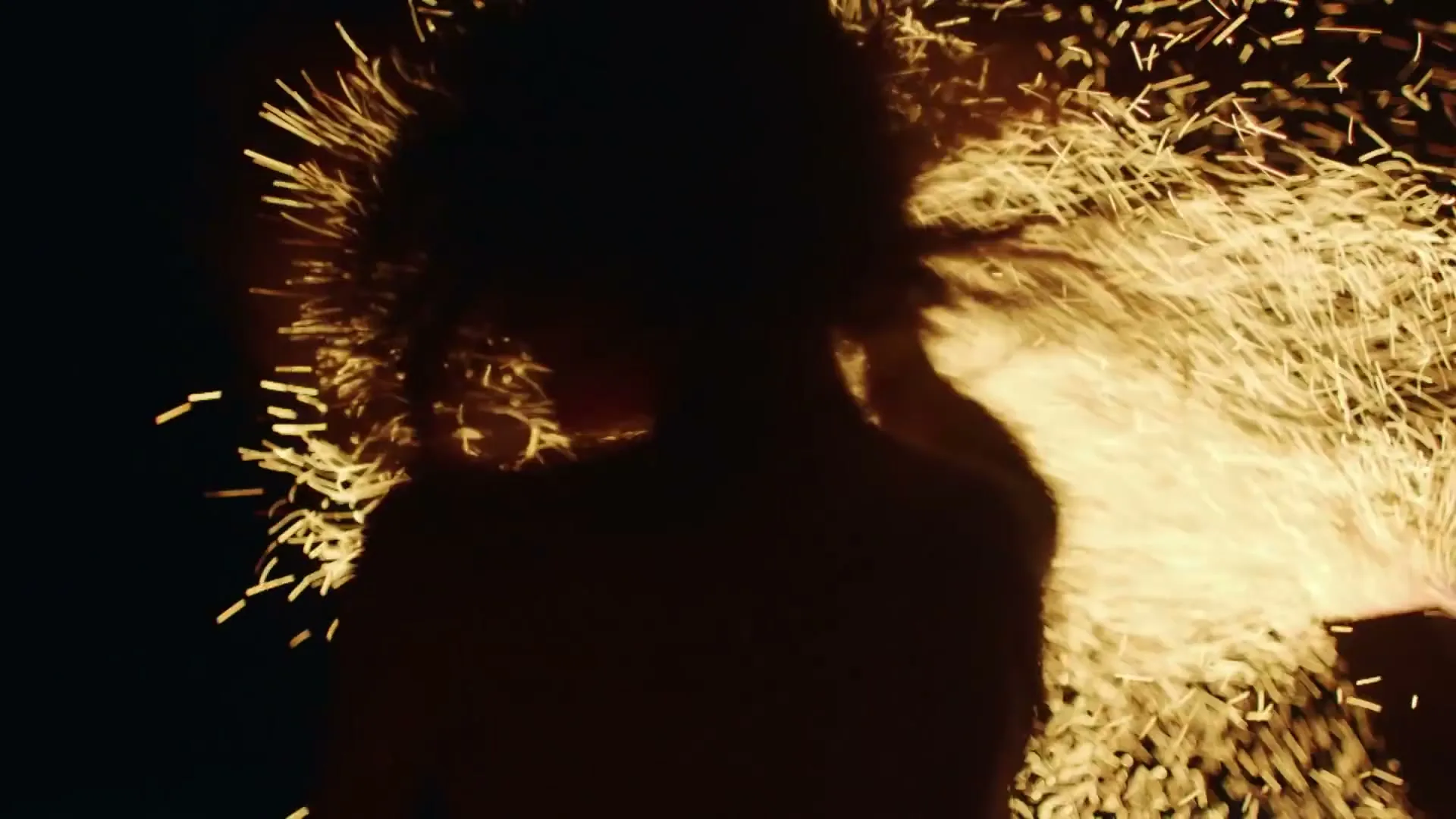 A woman's silhouette is seen against a backdrop of bright, golden sparks, as she raises her arms in a dynamic pose in the dark.