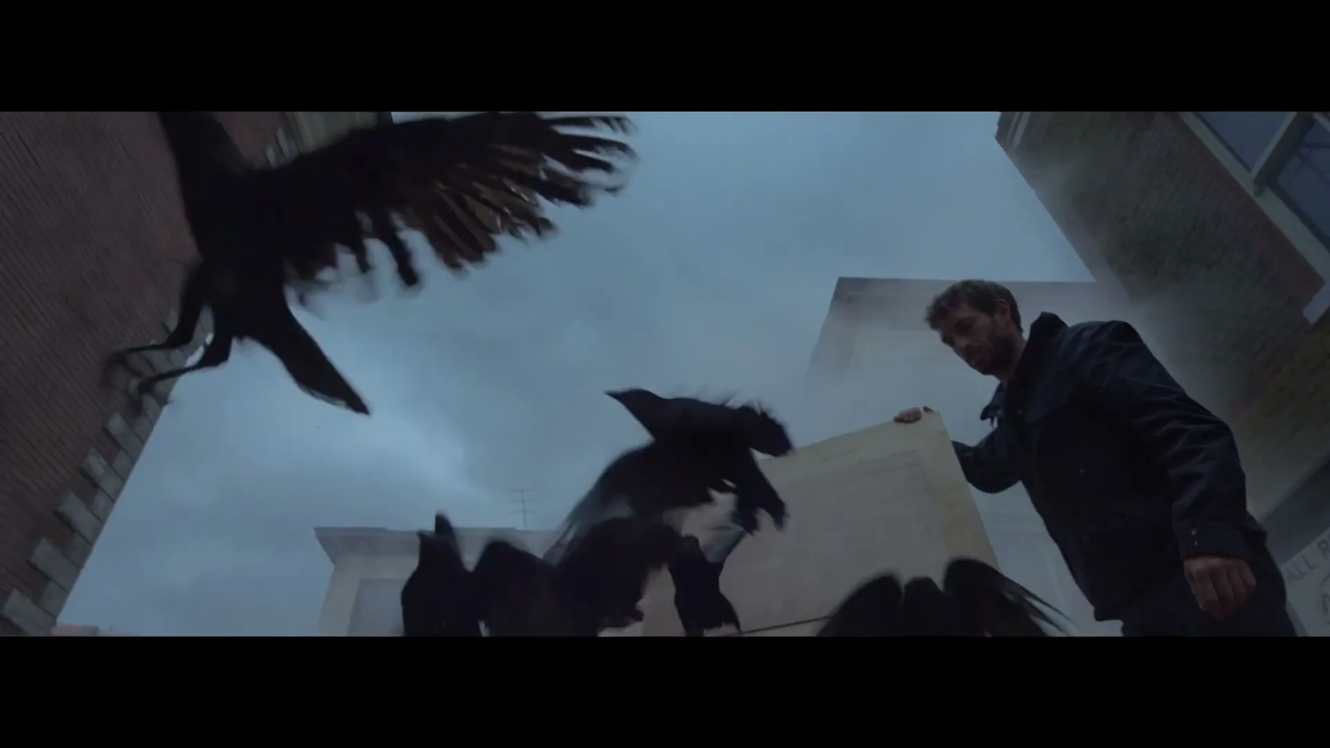 A man in a dark jacket holds a large white board as several black birds fly around him under a cloudy sky.