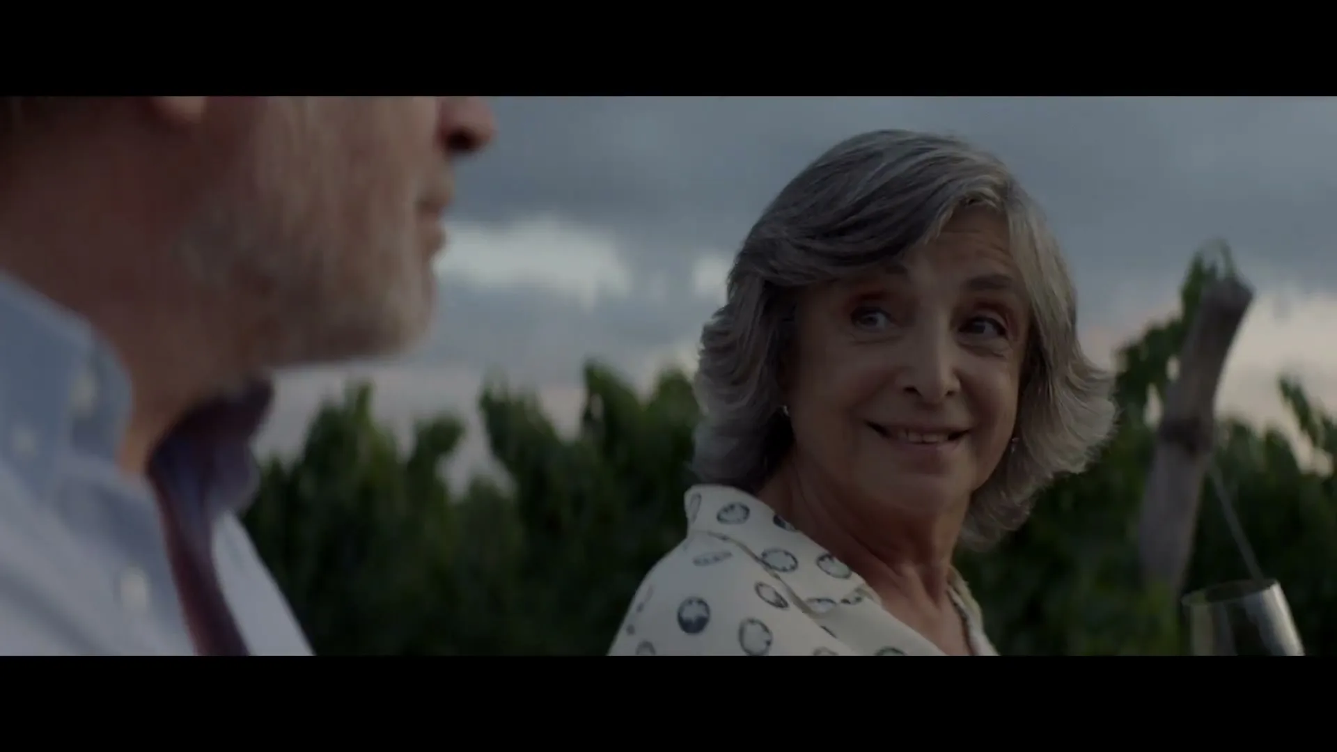 An older woman with gray hair and a patterned shirt smiles while holding a wine glass, looking at an older man in a vineyard at dusk.