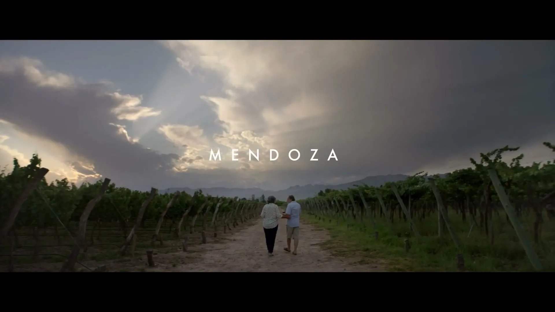 An older couple walks away from the camera down a dirt path through a vineyard at dusk, with dramatic clouds in the sky.