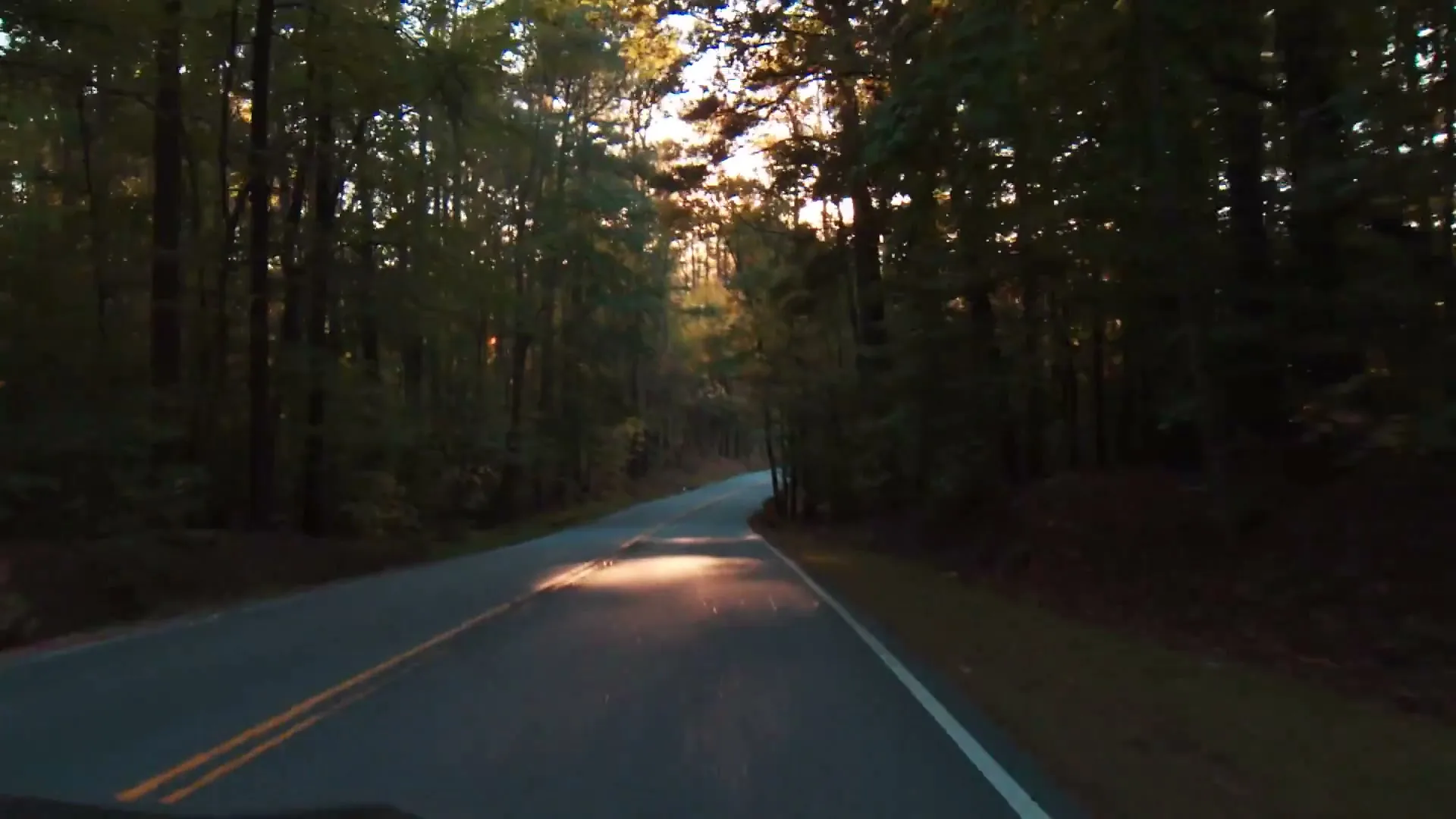 A car drives down a winding road through a forest, with the sun setting directly ahead, casting a warm glow.
