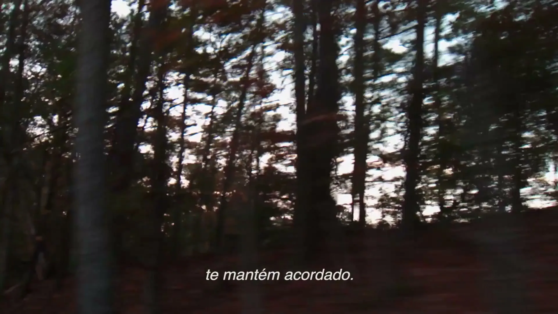 A blurry, fast-moving shot through a dense forest with tall trees and green foliage, with the sky visible through the branches.