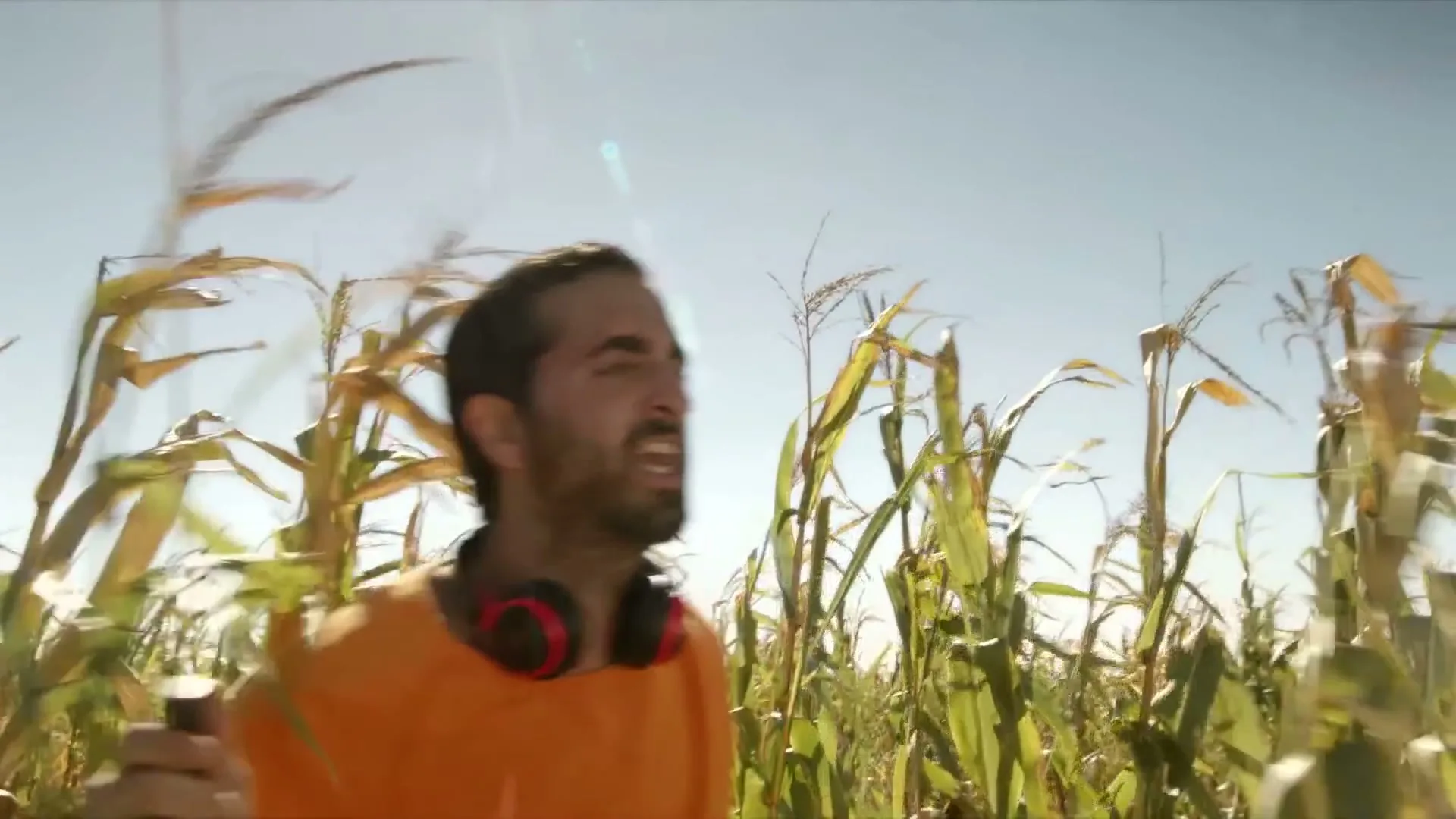 A man with a beard and headphones around his neck walks through a cornfield on a sunny day, looking around with a slightly confused expression.