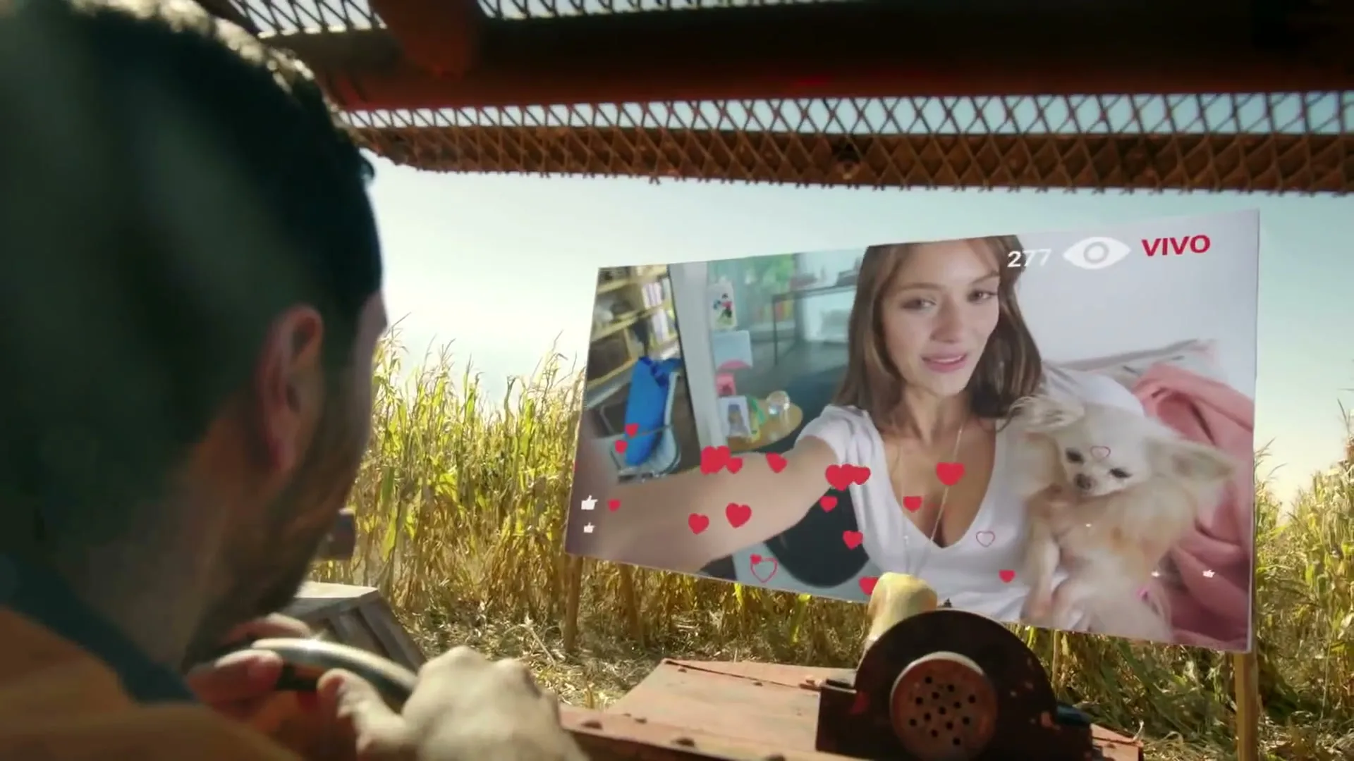 A man drives a tractor through a cornfield, watching a live stream of a woman holding a small dog on a transparent screen in front of him.