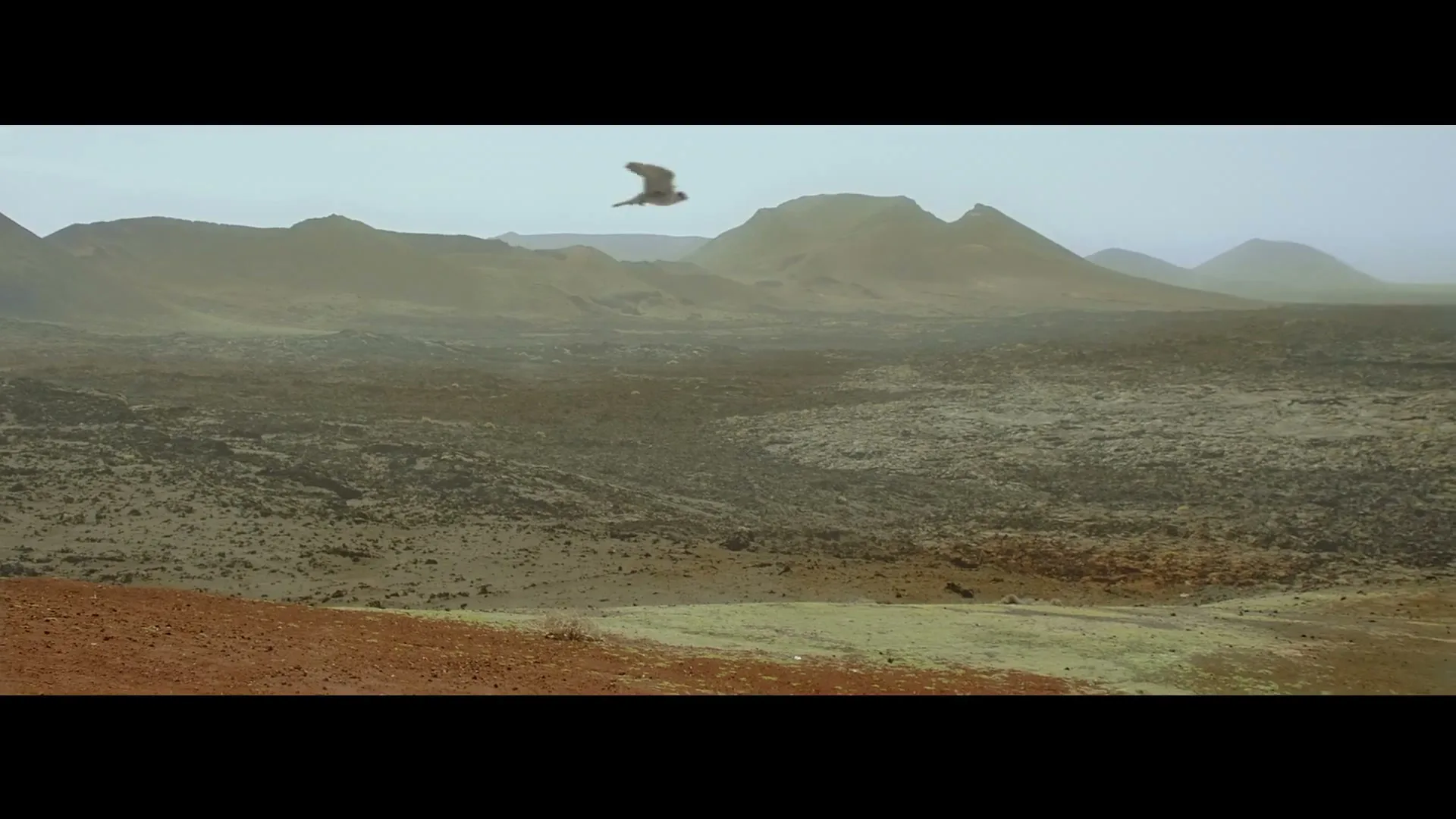 A bird flies over a vast, barren volcanic landscape with distant mountains under a hazy sky, as a small puff of smoke rises from a peak.