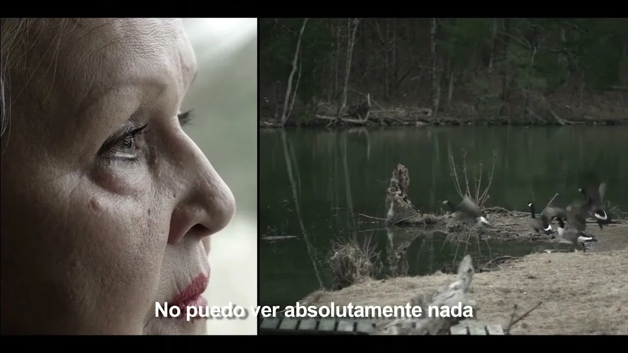 Canal + “La mujer que no puede ver películas” (2014), frame 3