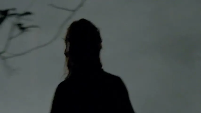 A female silhouette with curly hair is seen in a medium shot, moving against a light grey background with faint tree branches and birds.