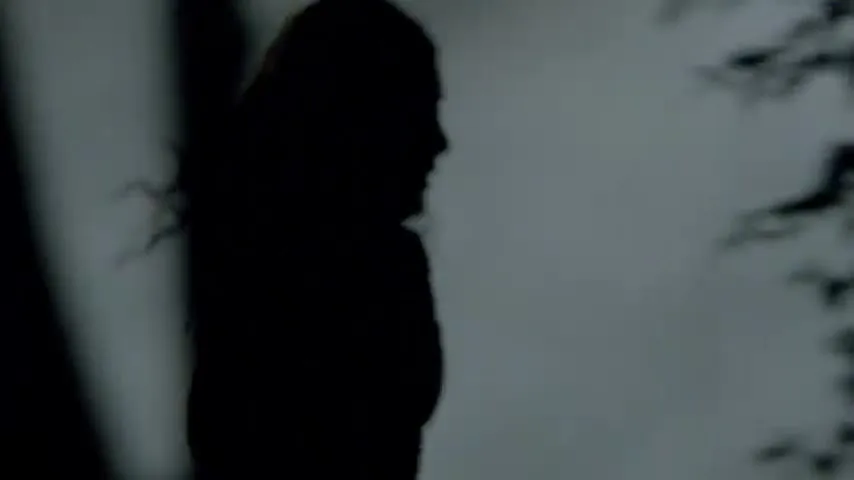 A female figure is seen in silhouette, with her hair blowing in the wind, against a light background with dark, out-of-focus elements in the foreground.