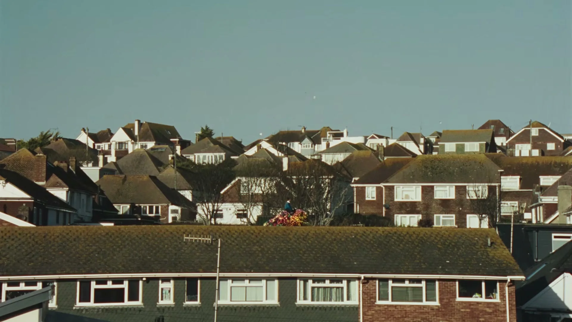 A wide shot shows a suburban neighborhood with many houses, as a giant person walks across the rooftops, carrying a large basket of fruit.