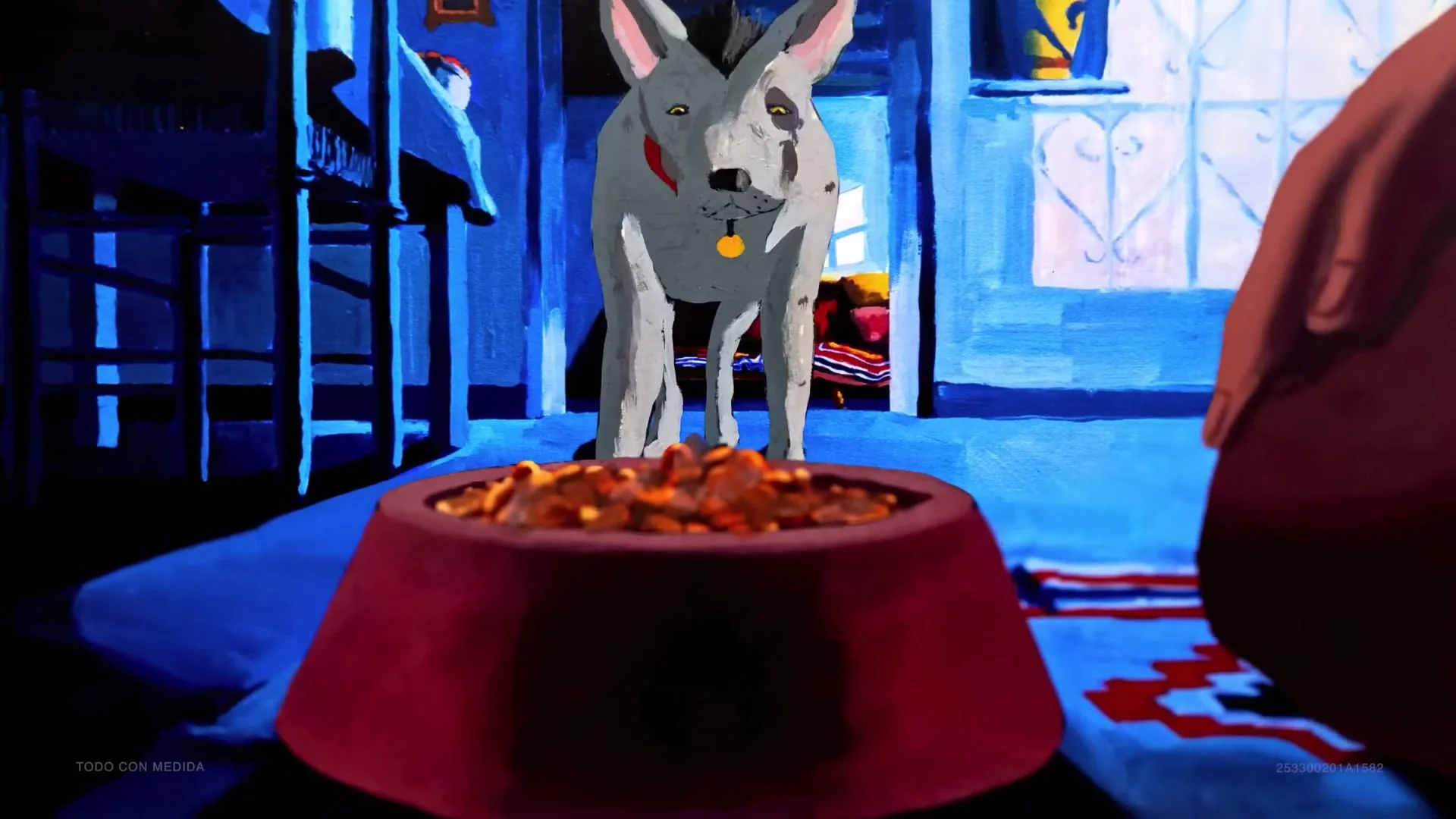 A gray dog with a red collar and yellow tag looks at a red bowl full of food, while a person's hand is visible on the right.