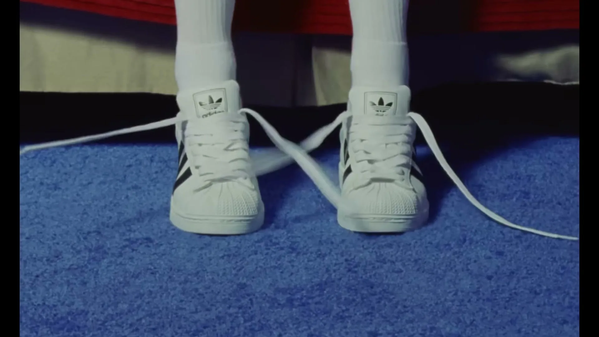 A pair of white Adidas Superstar sneakers with black stripes and untied laces are shown on a blue carpet, as if being worn by an unseen person.