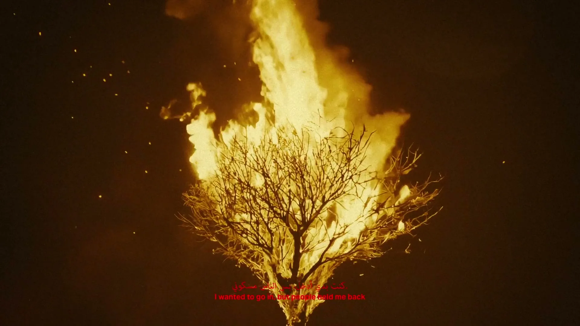 A bare tree is engulfed in bright orange flames, with red Arabic and English subtitles at the bottom of the screen.
