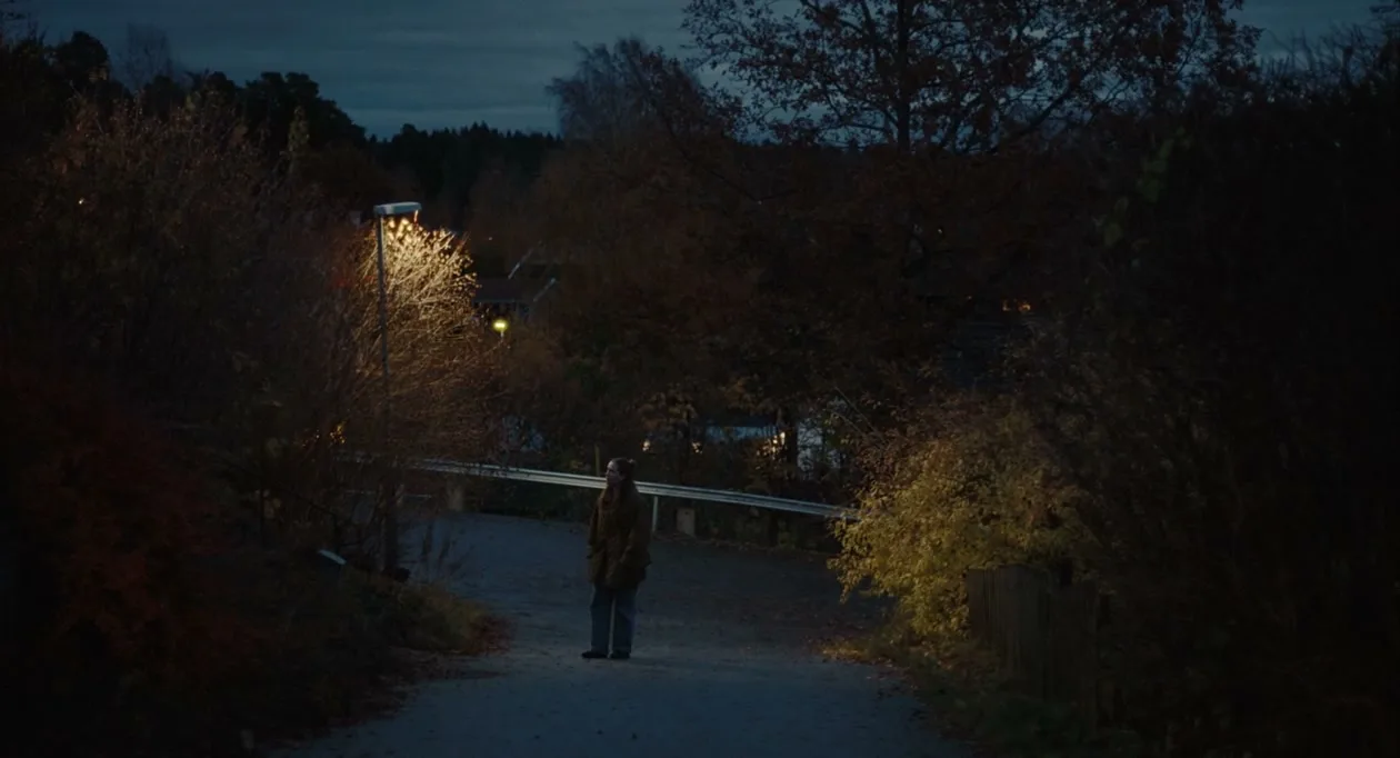 A lone person stands on a dark, winding road at night, illuminated by a streetlamp, surrounded by trees and bushes.