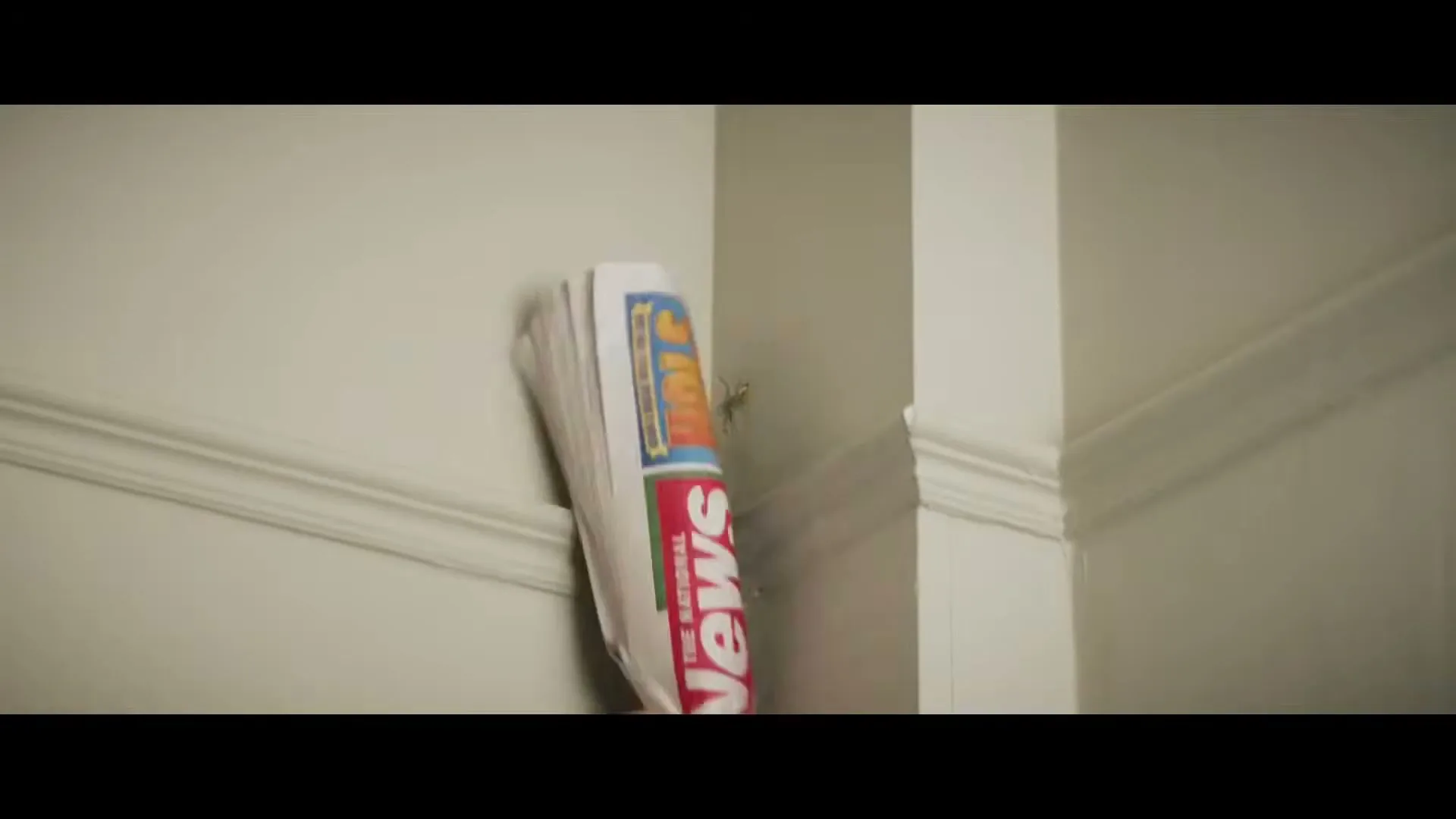 A large spider crawls on a white wall in a house, then a rolled-up newspaper is thrown at it.