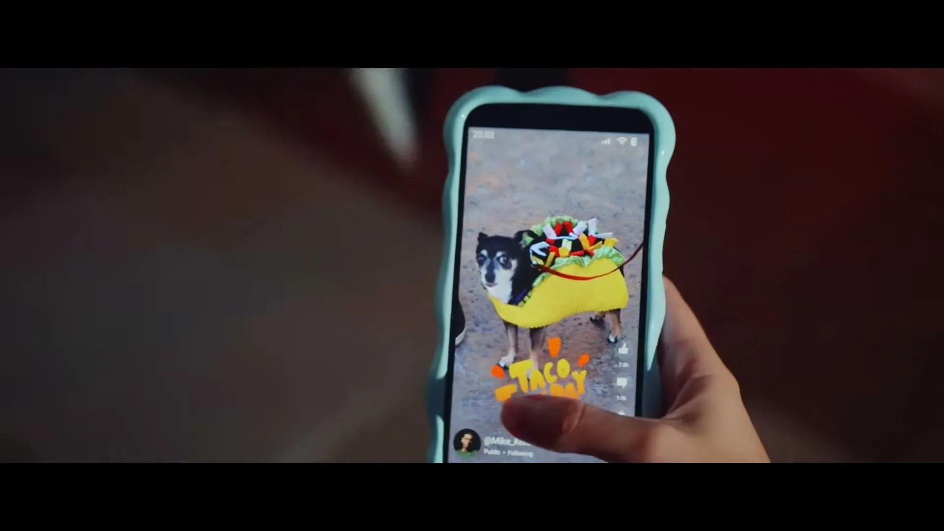 A person's hand holds a smartphone displaying a social media feed with videos of dogs in costumes, including a chihuahua dressed as a taco and another wearing a princess crown.