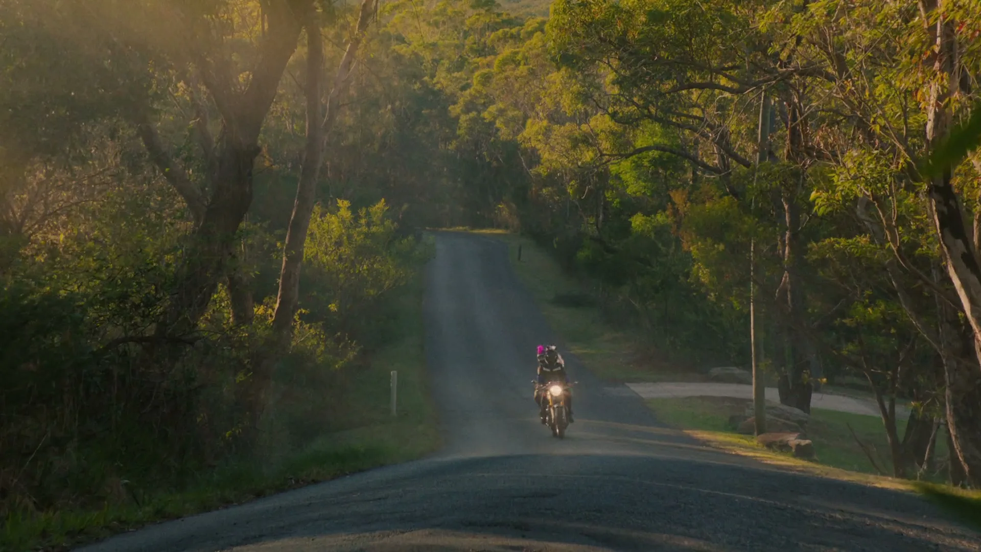 A person in a pink helmet rides a motorcycle down a winding, tree-lined road, with sunlight filtering through the leaves.