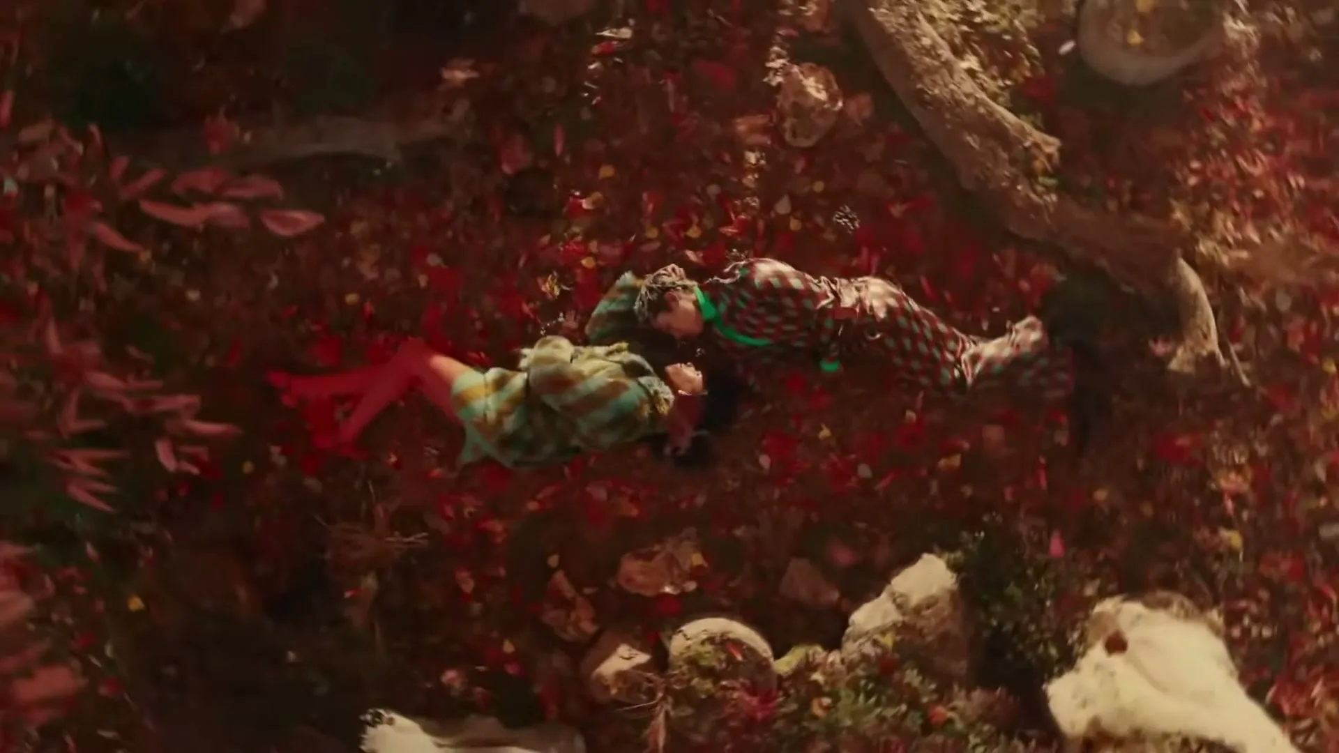 Two people in colorful outfits lie on a bed of red autumn leaves, holding hands and looking at each other from an overhead perspective.
