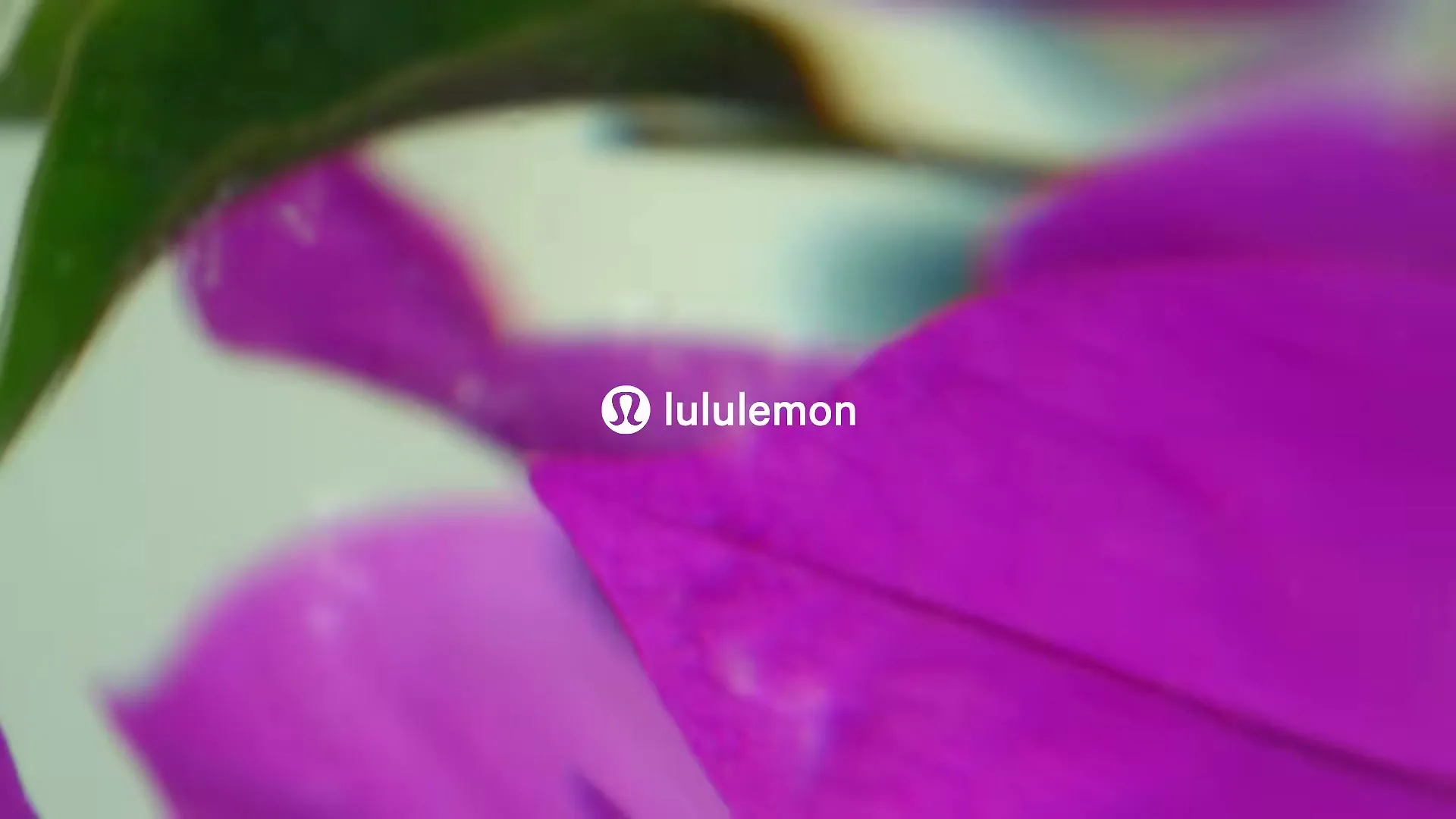 The Lululemon logo and wordmark are displayed over a blurred background of vibrant purple bougainvillea flowers, with a soft focus.