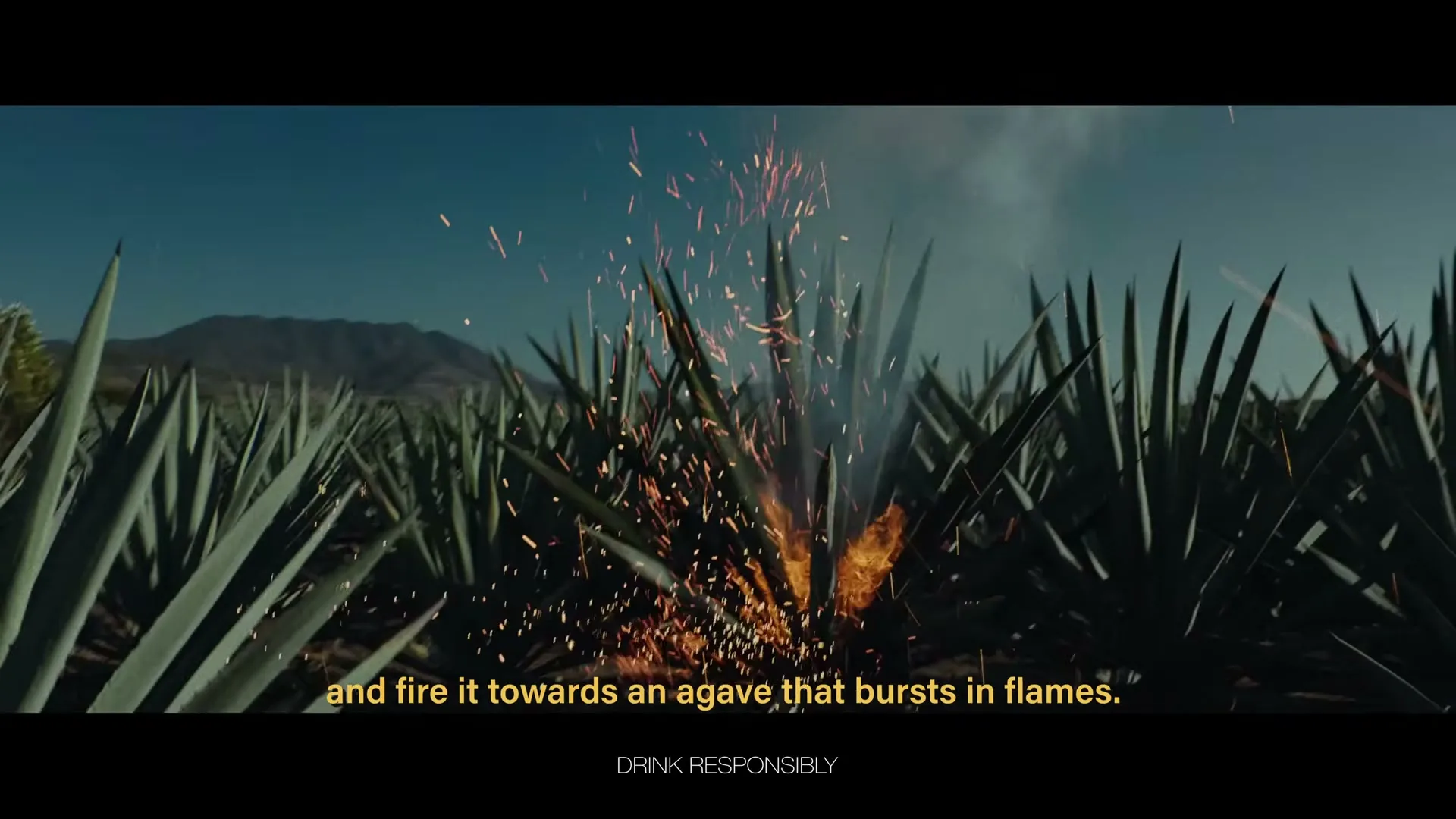 A magical lightning bolt strikes an agave plant, causing it to burst into flames in a field under a clear blue sky.