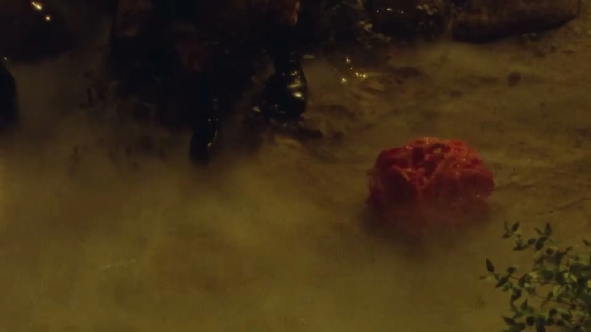A wide shot shows a red, brain-like object on the ground, surrounded by fog and dark, indistinct shapes, in a mysterious, otherworldly setting.