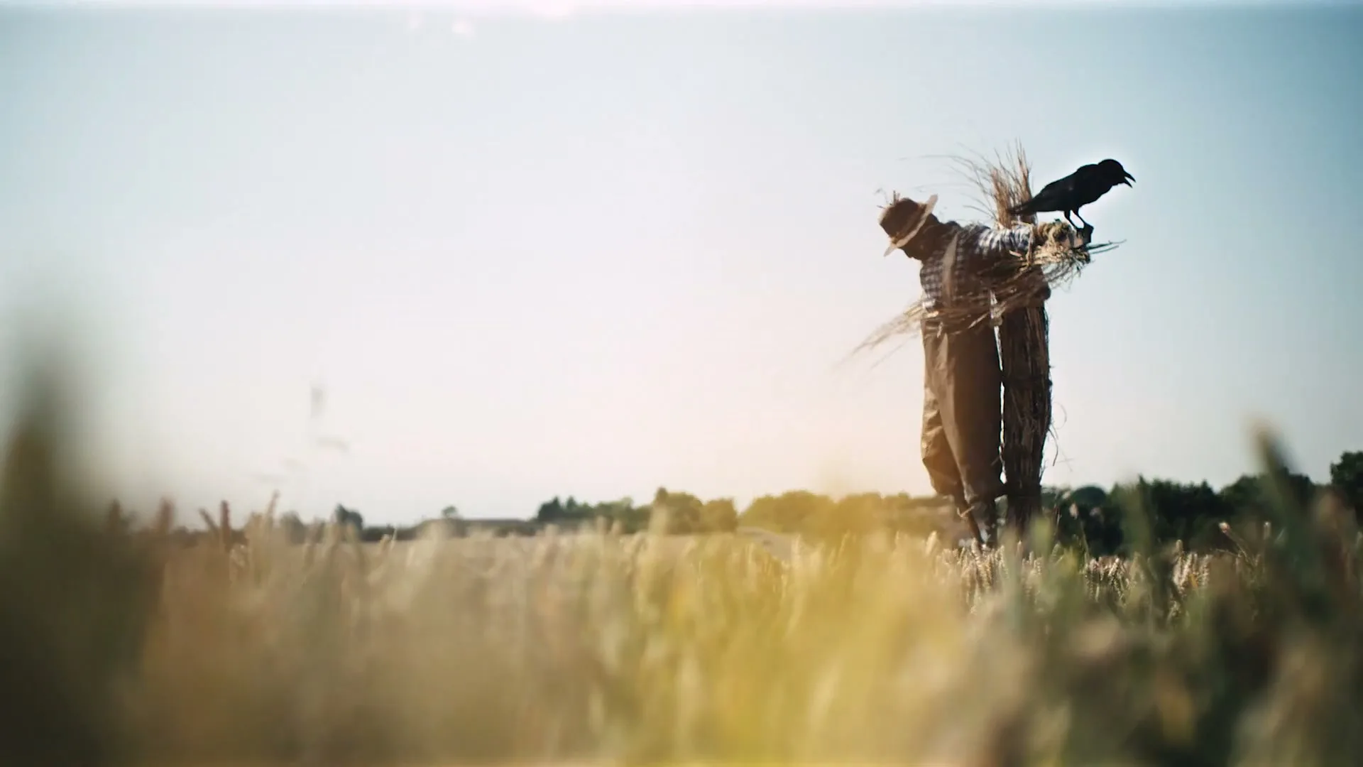 A scarecrow with a straw hat and a crow on its shoulder stands in a golden wheat field under a bright sky.
