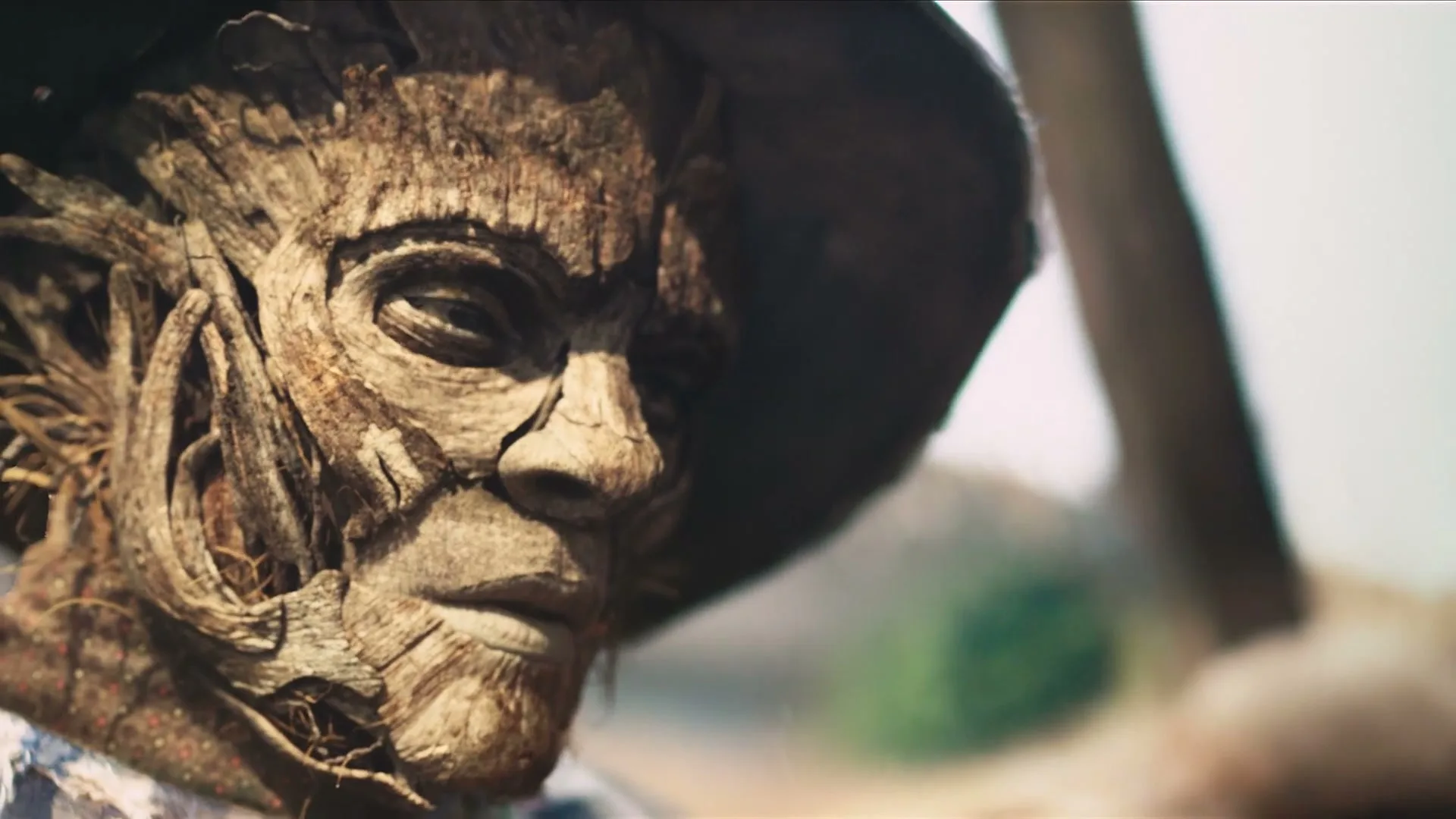 A close-up shot of a scarecrow's face, made of wood and straw, wearing a hat, looking off-camera in a field.