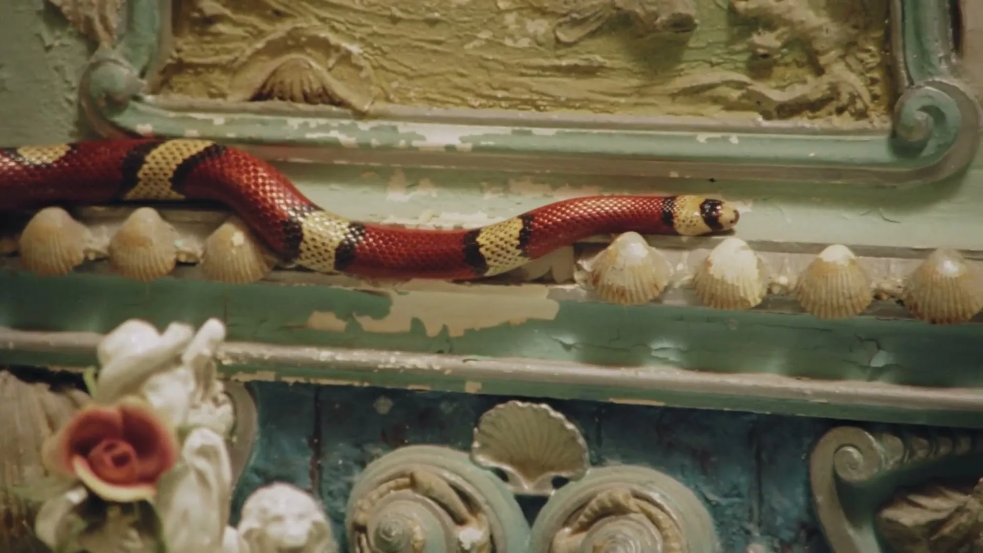 A red, black, and yellow snake slithers across a decorative, shell-encrusted ledge with peeling paint in an ornate, antique setting.