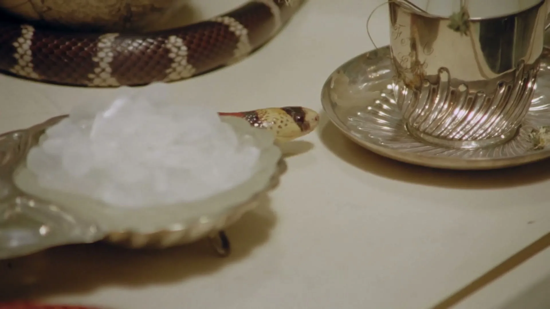 A close-up shot shows a snake with red, black, and white bands slithering past a silver cup and a dish of ice on a white table.