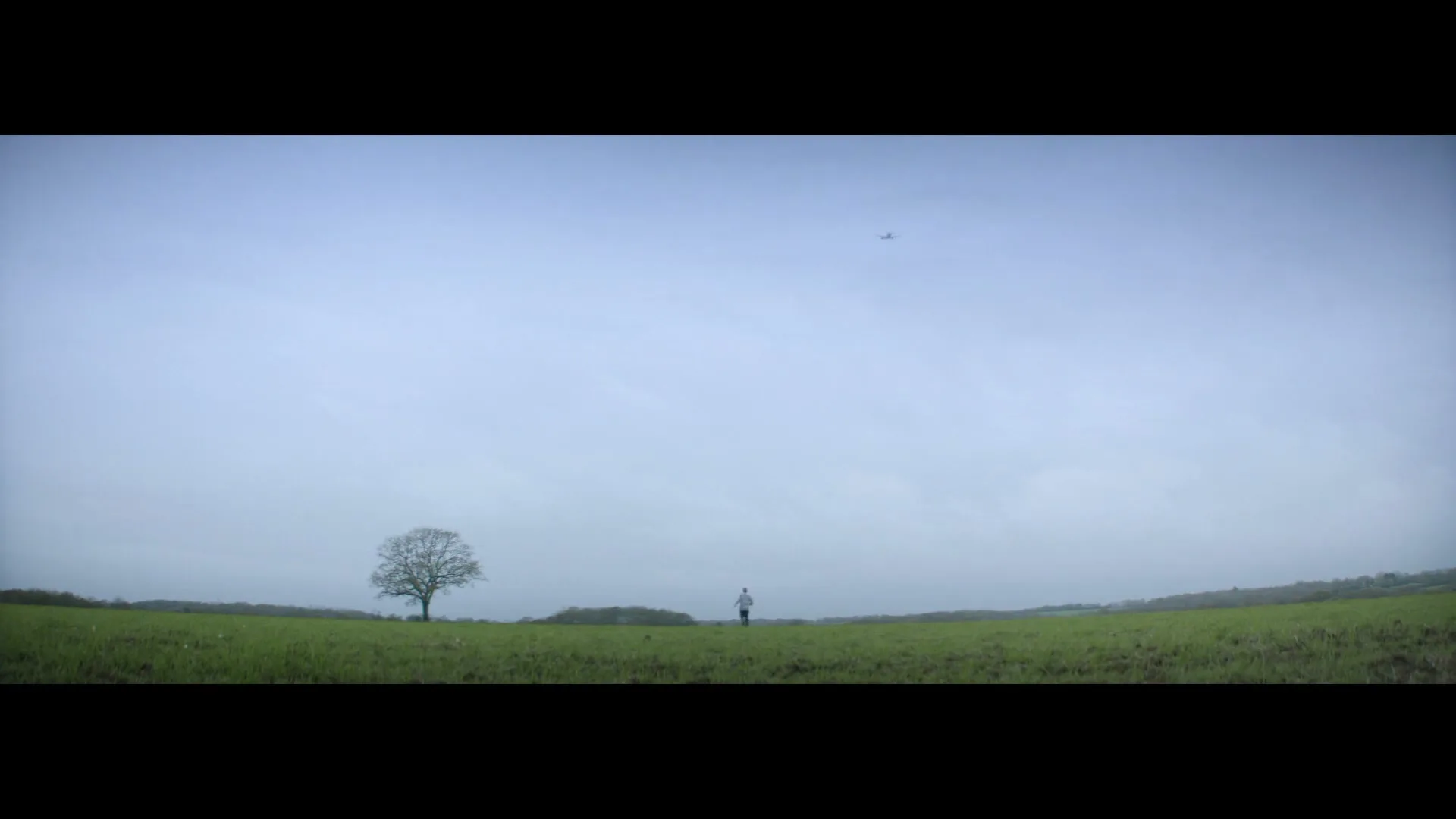 A lone man stands in a vast green field with a single tree, looking up at a distant airplane in the overcast sky.