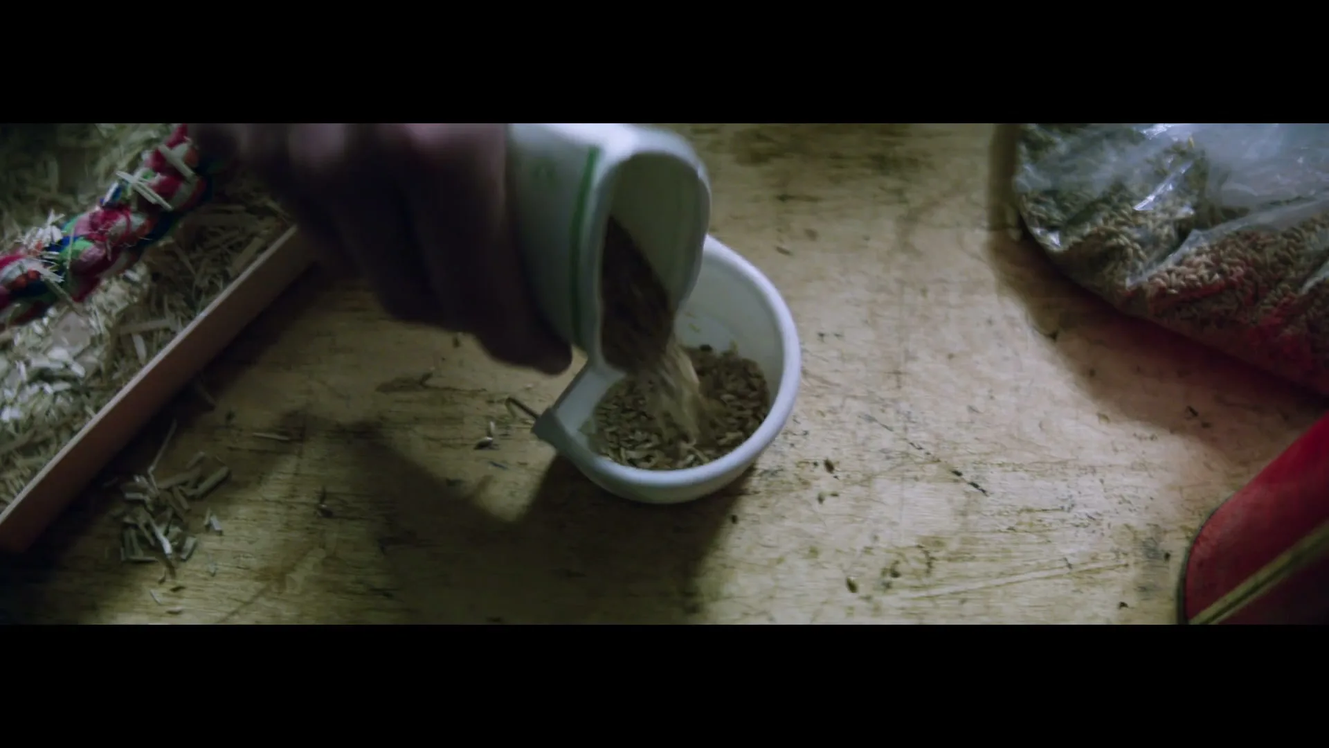 A person's hand pours birdseed from a small container into a white bowl on a wooden surface, with hay and a bag of seeds nearby.