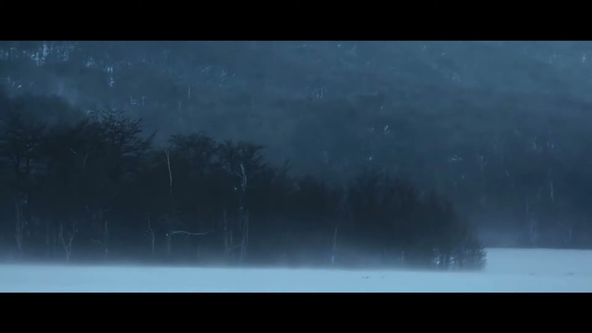 A wide shot of a snow-covered landscape with dark trees and a misty, cold atmosphere, as snow falls gently.