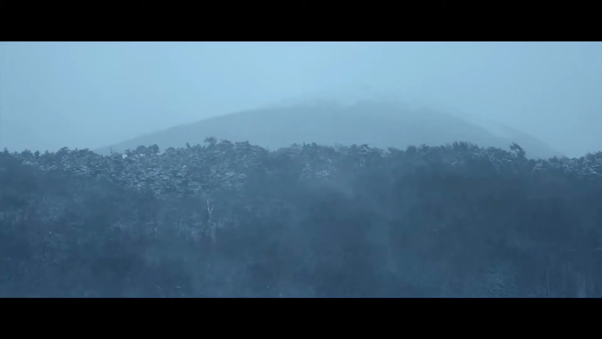 A wide shot of a snow-covered forest with a mountain in the background, under a cloudy, overcast sky.