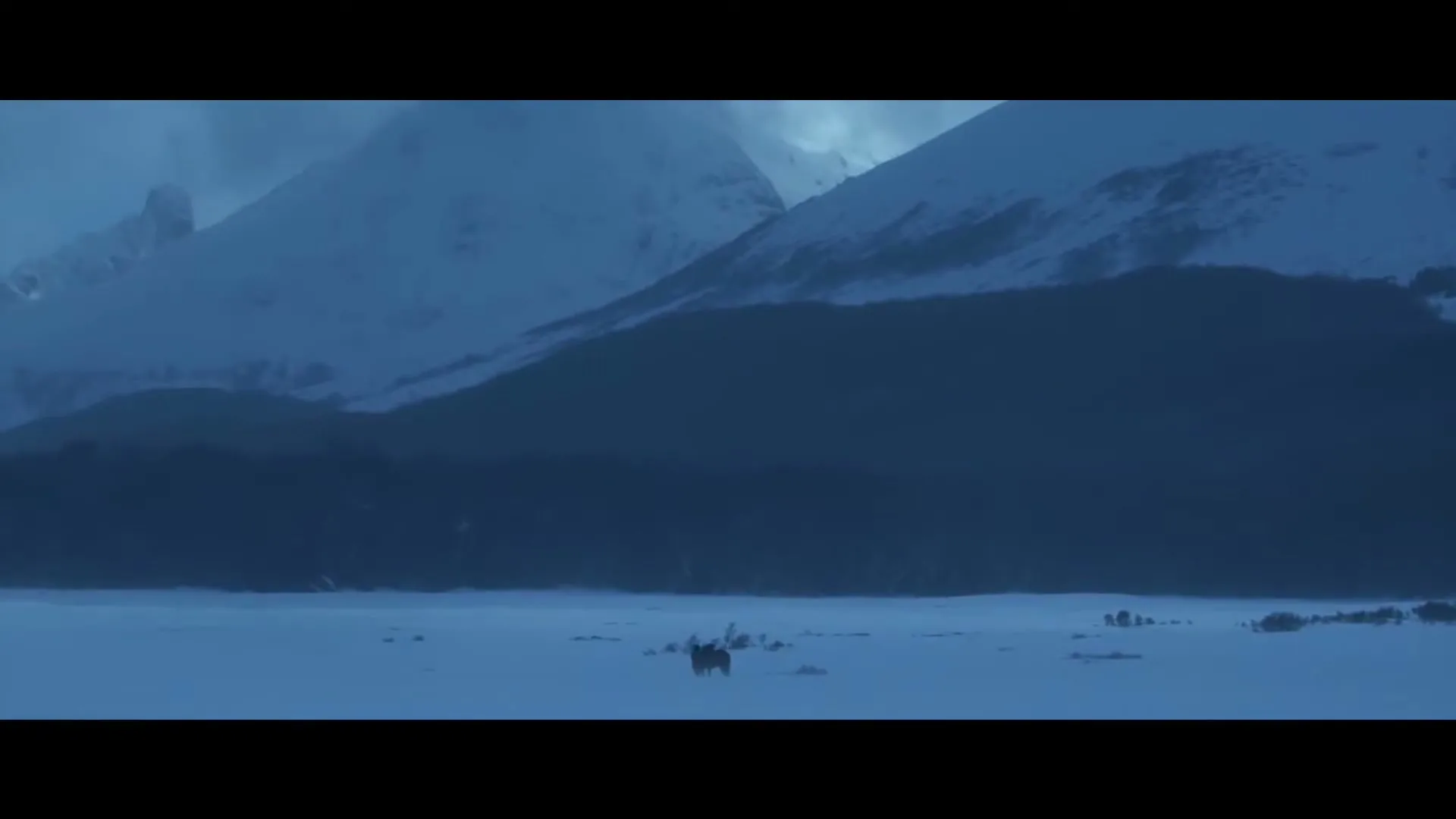 A wide shot shows a lone moose standing on a vast, snow-covered plain, with towering, snow-capped mountains in the background under a dark, overcast sky.
