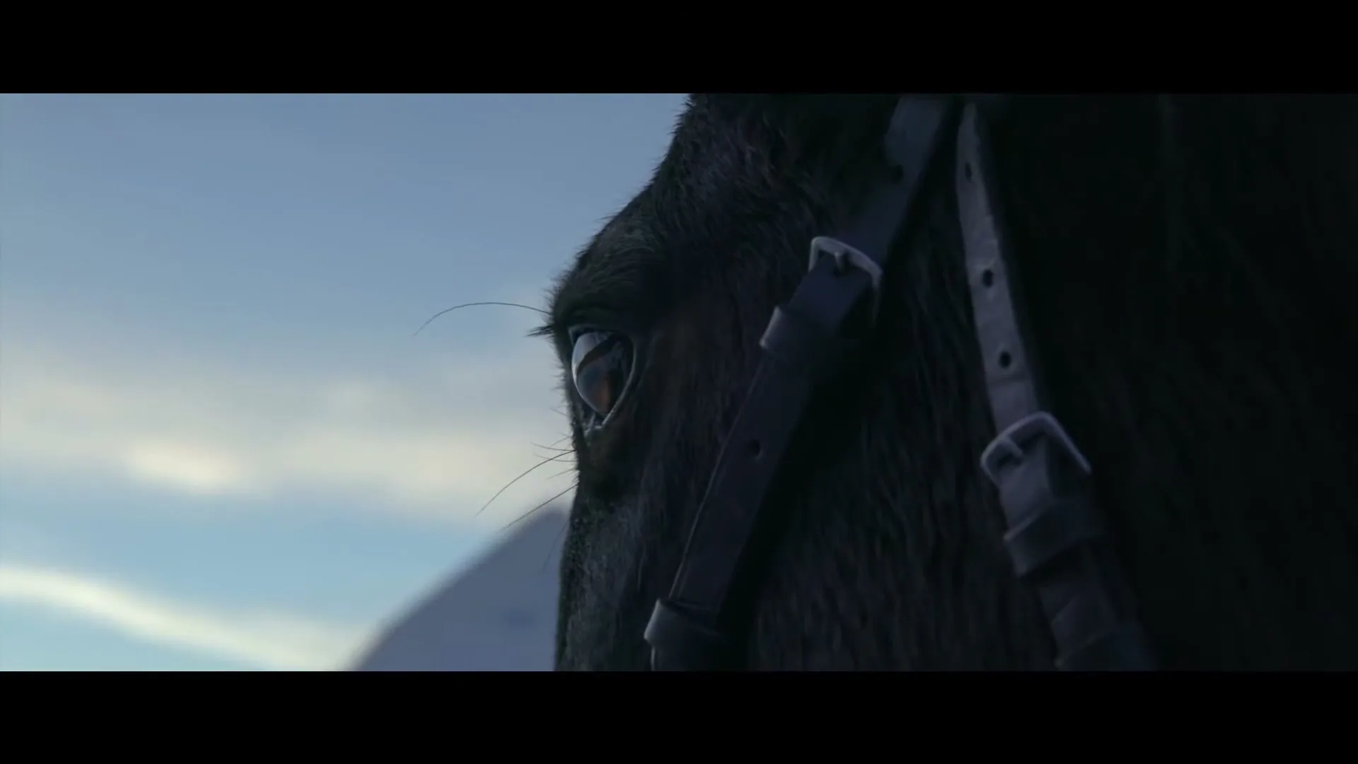 A close-up of a horse's eye, with a mountain in the background, as the horse blinks and looks around.